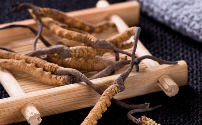 Đông trùng hạ thảo cực bổ nhưng không phải ai cũng dùng được