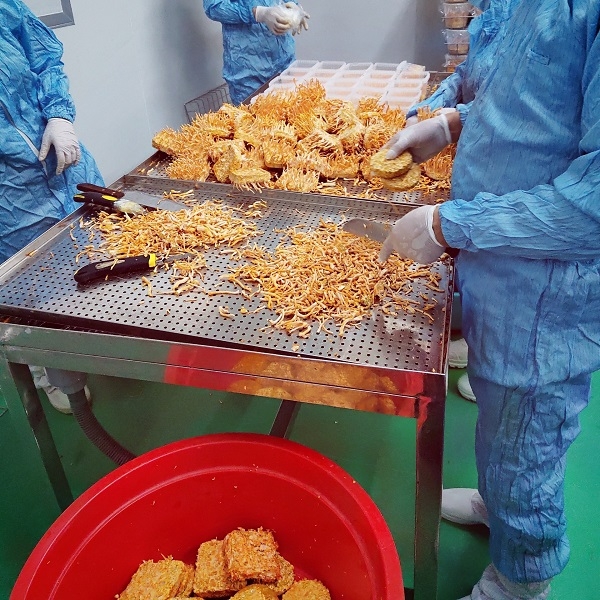 Sợi Tươi Đông Trùng Hạ Thảo Cao cấp