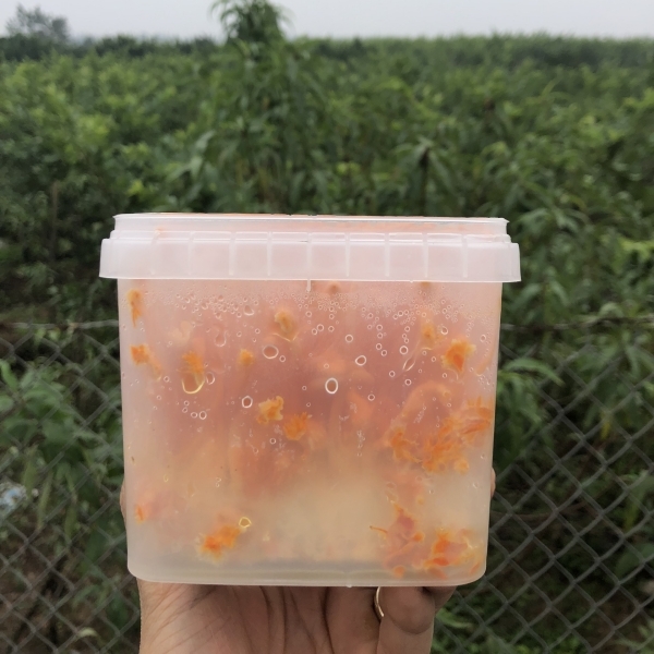 HỘP TƯƠI CAO CẤP