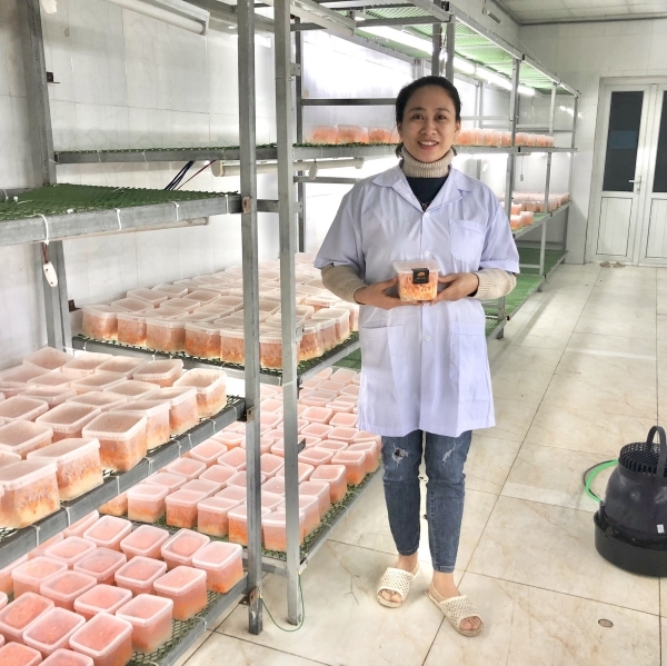 HỘP TƯƠI CAO CẤP